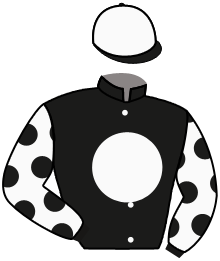 Casaque n°2