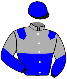 Casaque n°3