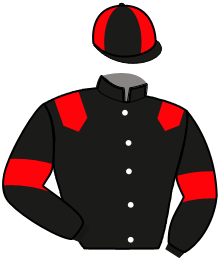 Casaque n°11