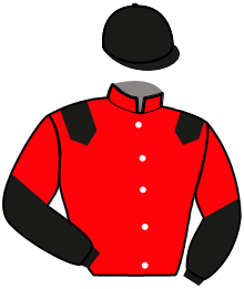 Casaque n°12
