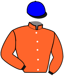 Casaque n°10