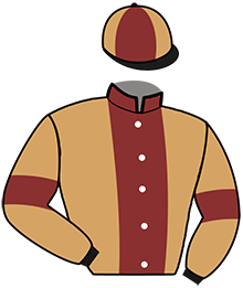 Casaque n°11