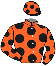 Casaque n°4