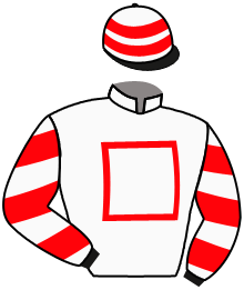 Casaque n°3