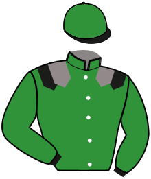 Casaque n°8