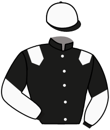 Casaque n°10