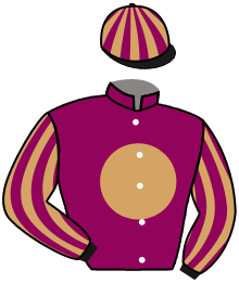 Casaque n°2