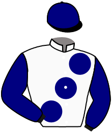 Casaque n°3