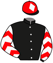 Casaque n°5