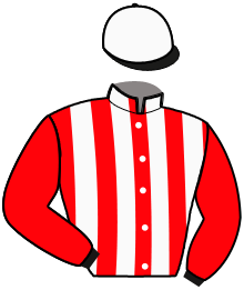 Casaque n°6