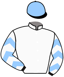 Casaque n°2