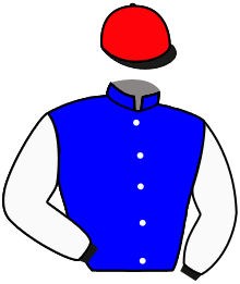 Casaque n°4