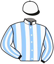 Casaque n°11