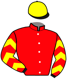Casaque n°11