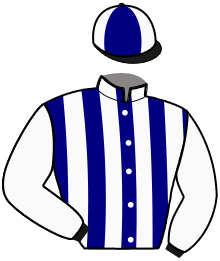 Casaque n°3