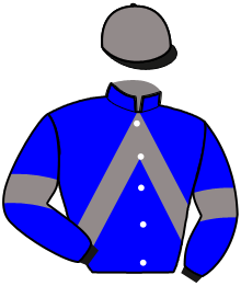 Casaque n°6