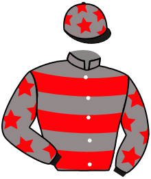 Casaque n°10