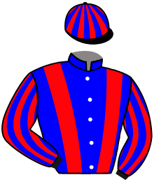 Casaque n°6