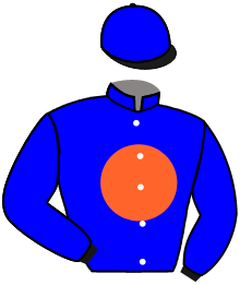 Casaque n°3