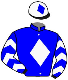 Casaque n°10