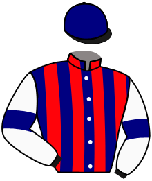 Casaque n°11