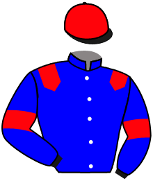 Casaque n°7