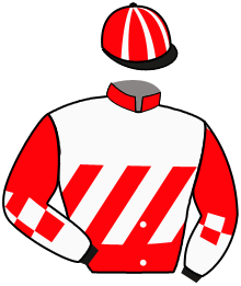 Casaque n°4