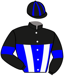 Casaque n°2