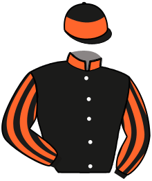Casaque n°4