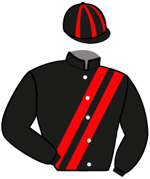 Casaque n°10