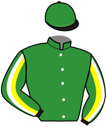 Manteau n ° 13