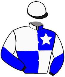 Manteau n ° 15