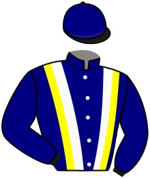 Manteau n ° 16