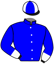 Manteau #3