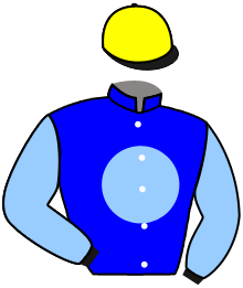Deauville : Celestial comme il sait le faire - France sire