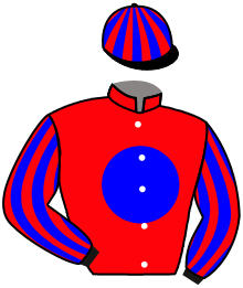 Auteuil : La Ducasse se révèle sur le steeple - France sire