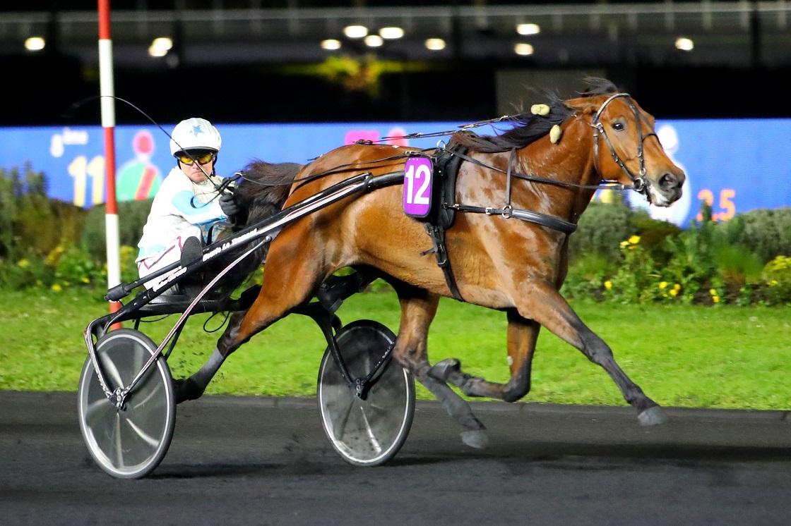 Calendrier Des Courses De Trot 2023 Les Chevaux Qui Ont Marqué Le Meeting D'hiver De Vincennes | Equidia
