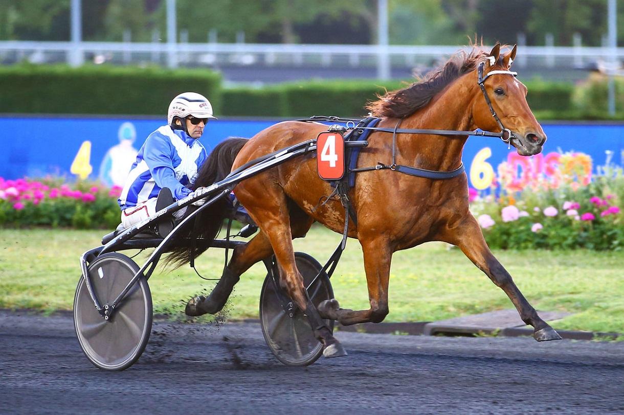 Calendrier Des Courses Hippiques Aux Sables D' Olonnes