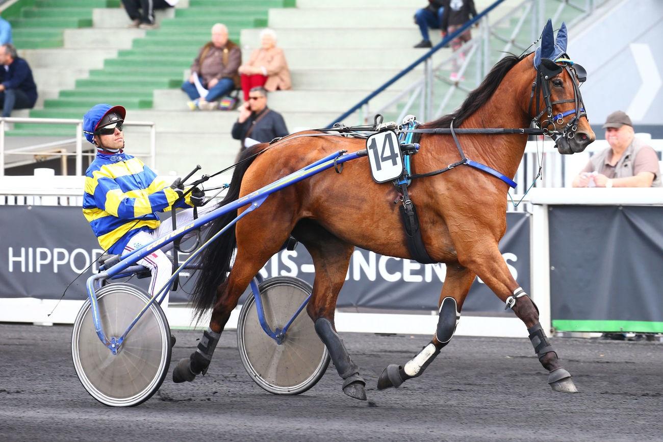 Pronostic Et Statistique Des Courses De Chevaux Quinté+: Le Quinté+ du dimanche 8 janvier vu par les statistiques | Equidia