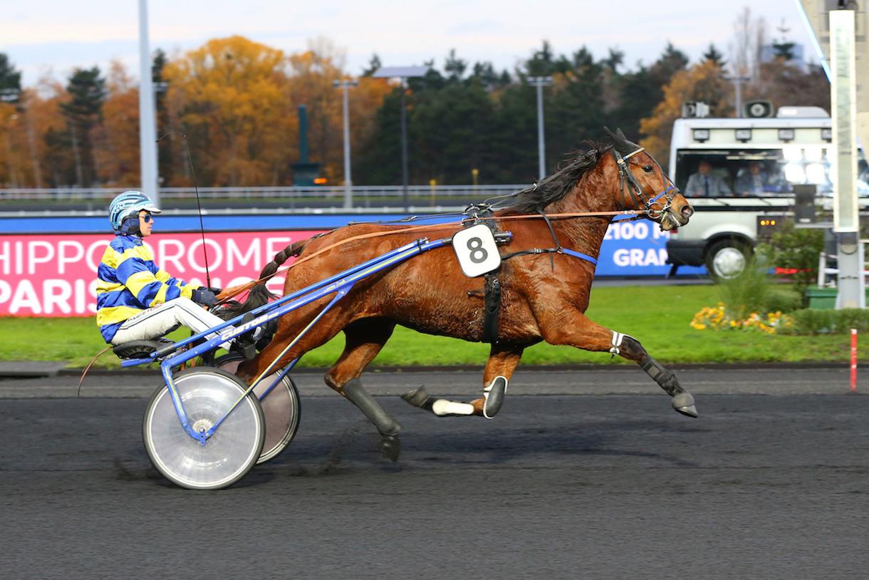 Track Test Quinté+ du samedi 11 juin à Vincennes Elite de Jiel en