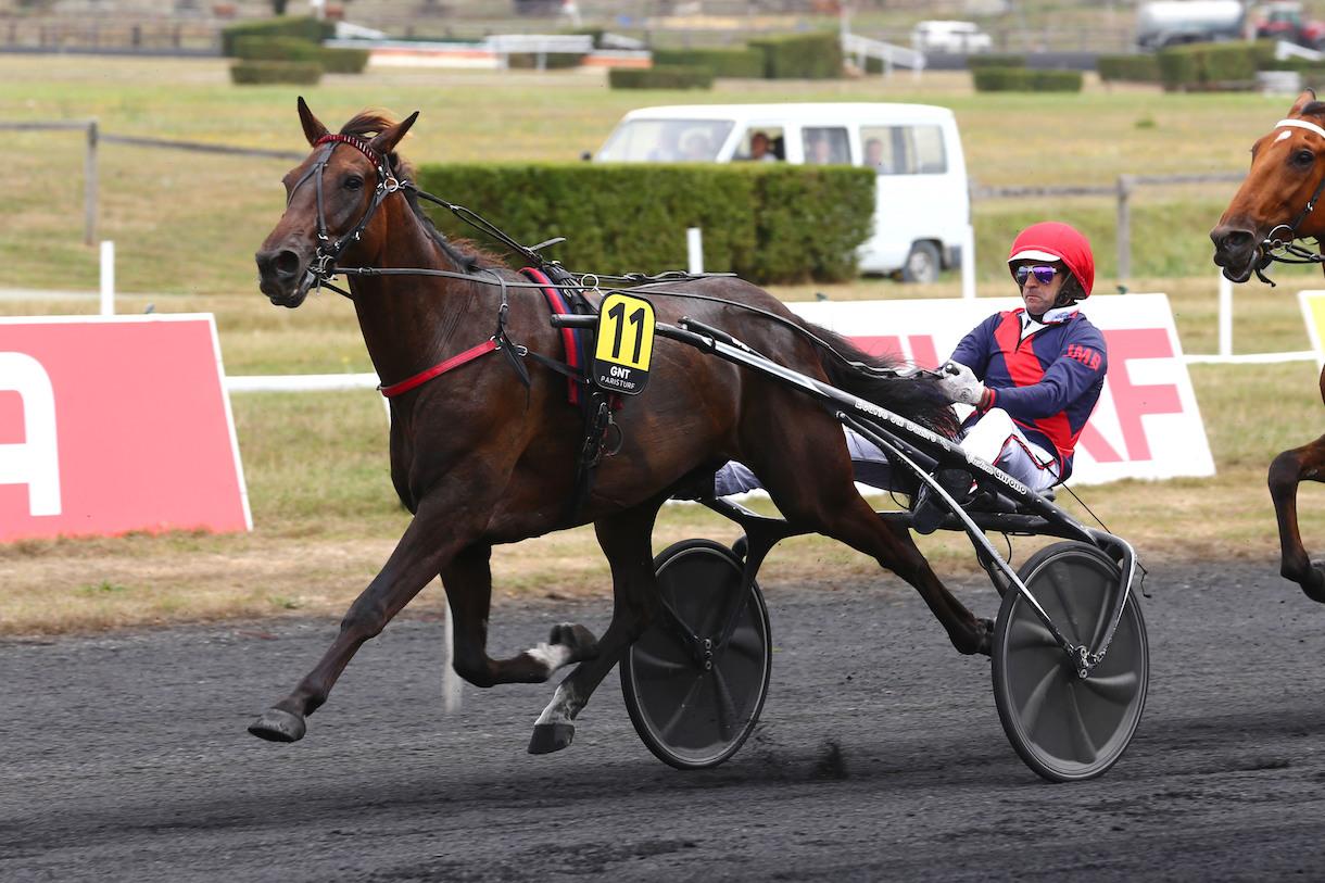 Quinté+ Track Test Quinté+ du mercredi 19 octobre à Feurs Farrell