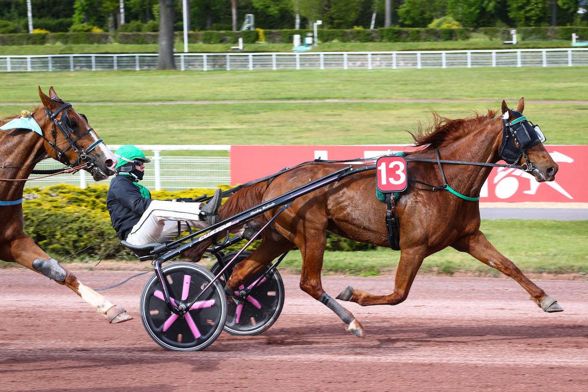 Pronostic Et Statistique Des Courses De Chevaux Le Quinté+ du mercredi 4 janvier vu par les statistiques | Equidia