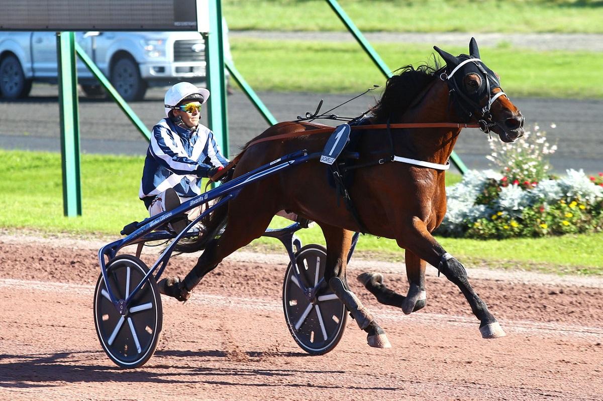 Quint Le pro du jour Pierre Belloche