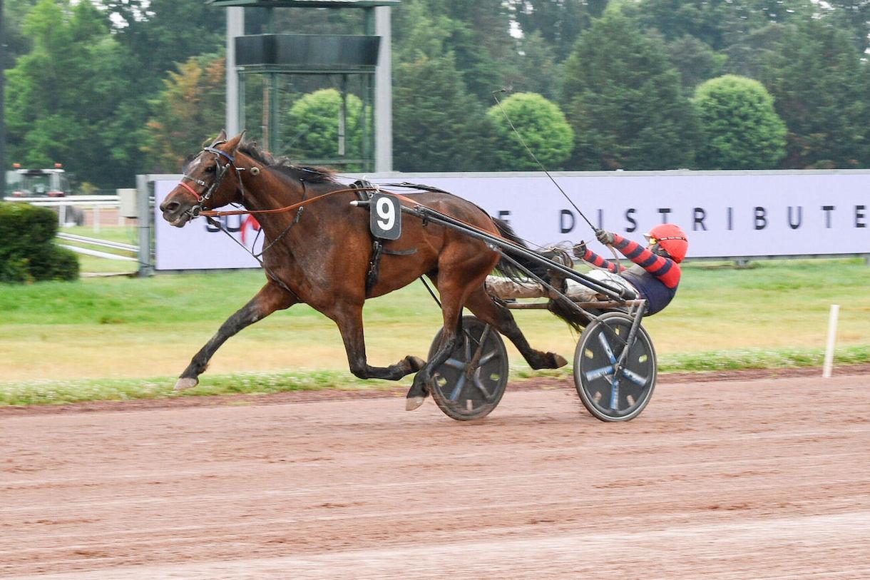 Quinté+: Le pro du jour - Léo Abrivard : 