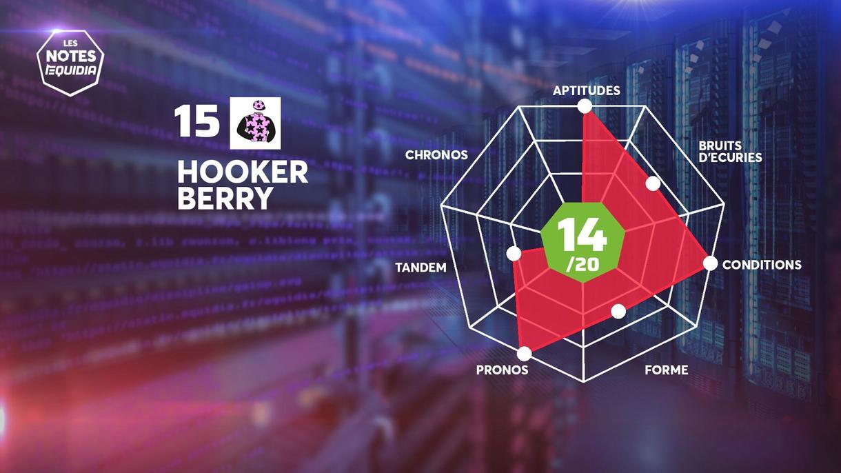 Quinté+: Hooker Berry, la base solide du Quinté+ de ce dimanche 12 ...
