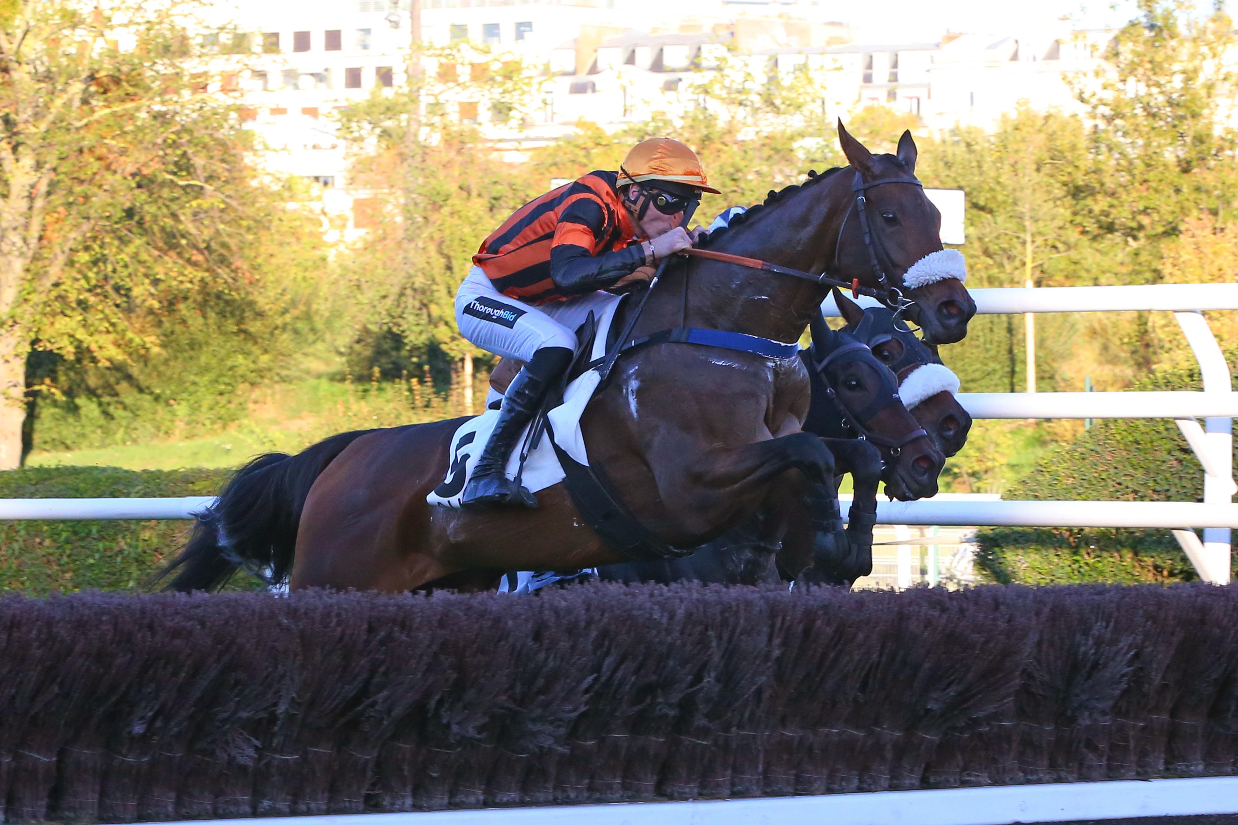 Le pro du jour Mathieu Pitart "Avec la décharge de son jockey, Oh