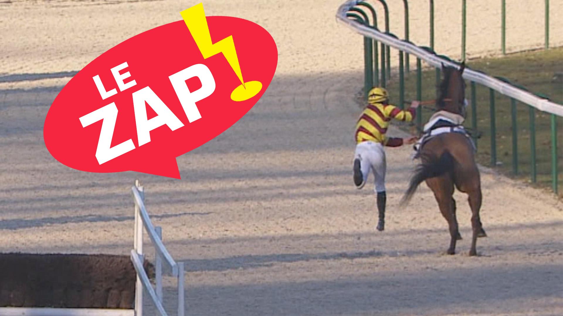 Equidia - Zap du mois de janvier 2020 | Equidia
