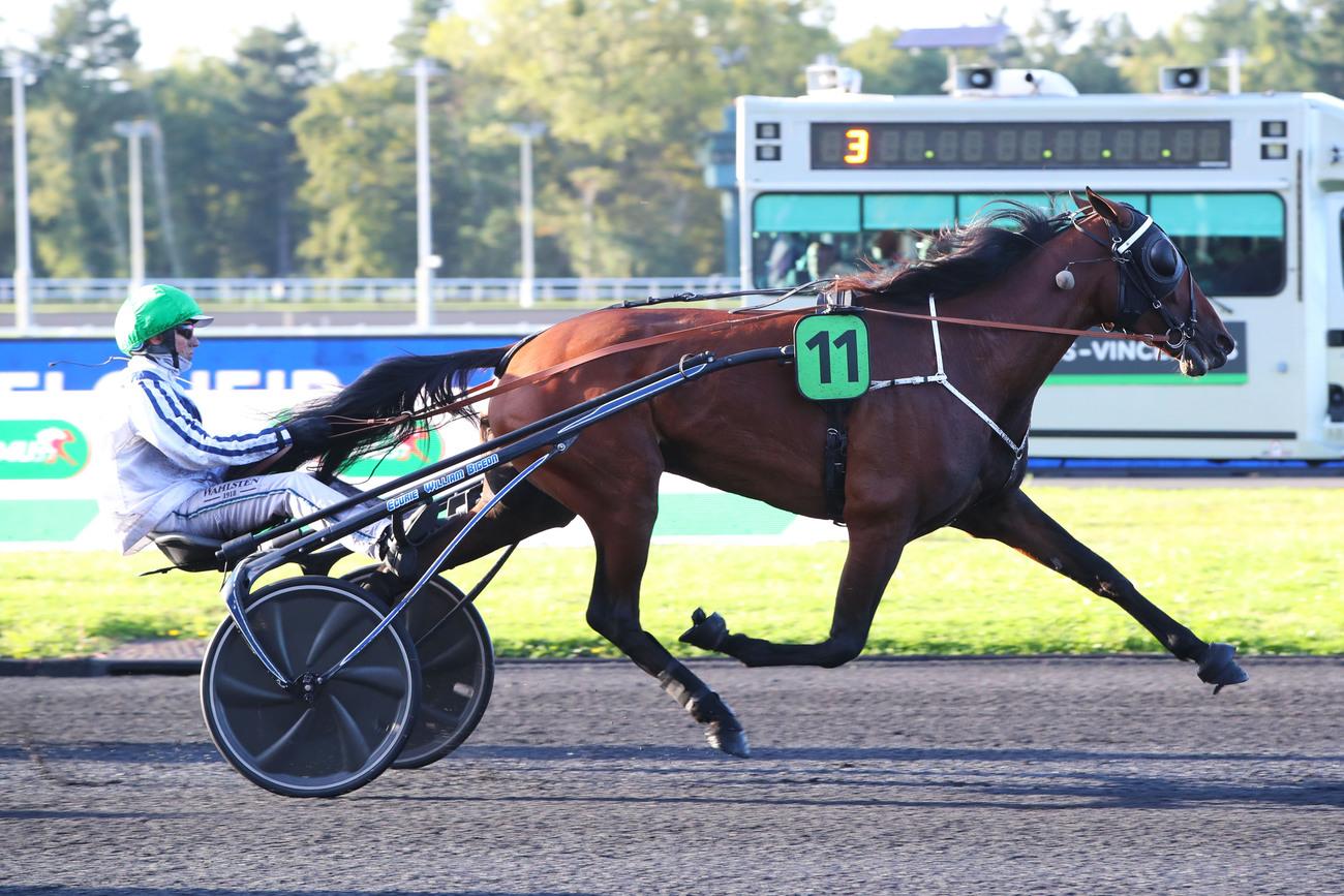 Le pro du jour - William Bigeon : 