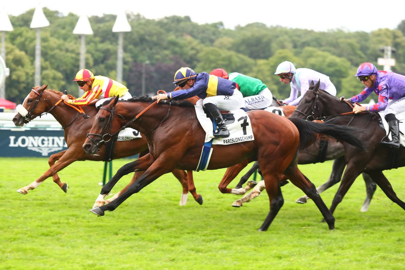 Quinté+: Le pro du jour - Joakim Brandt : 