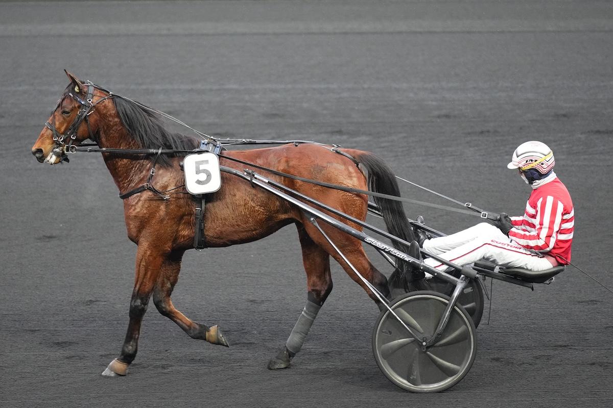 Quinté+: Le pro du jour – Gauthier Baudouin : 